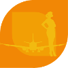 Flight Attendant Air Traffic