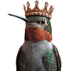 Kolibri