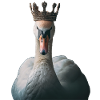 Schwan