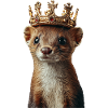 Wiesel