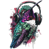 Kolibri