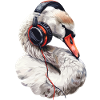 Schwan