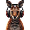 Wallaby