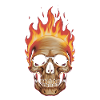 Burning skull