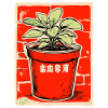 Blumentopf