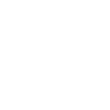 Viking Odin
