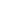 Viking Warrior