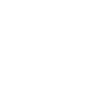 Wolf Animal