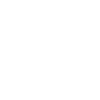 Lion Animal Head