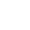 Lion Portrait