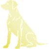 Dachshund Dachshund Silhouette Dog Silhouette