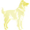 Australian Shepherd Dog Silhouette