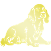 Cocker Spaniel Hund Silhouette