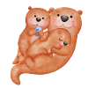 Cute otter family