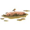 Schwein im Dreck