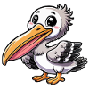 Pelican
