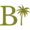 Lettre b vert Palm