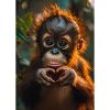 Orang-outan avec cœur