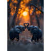 Amour de l’éléphant