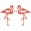 Flamingos Twins in Love