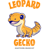 léopard, gecko, reptile, petit lézard