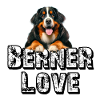 Bernese mountain dog