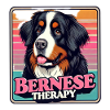 Bouvier bernois