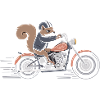 Cavalier d’écureuil à vélo