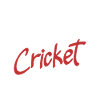 Cricket Player Graphical Illustration