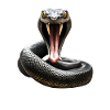 Attacking Serpent
