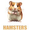 Hamster