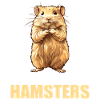 Hamster