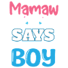 SAYS BOY
