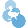 Ducks waddle croak