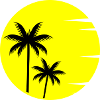Sunset Palm Trees