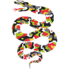 Vivid Camouflage Snake