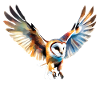 Barn owl