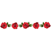 Line with roses
