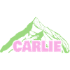 Gift for Carlie