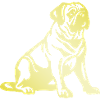 Pug Dog Silhouette