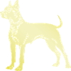Pit Terrier Dog Silhouette