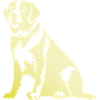 Saint Bernard Dog Silhouette