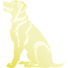 Samoyed Dog Silhouette