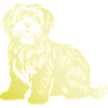 Havanese Dog Silhouette