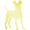 Pinscher Dog Silhouette