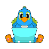 Parrot Laptop