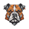 Bulldog Dog Portrait