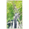 Baum