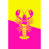 Affiche Homard jaune rose