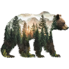 Bear Forest